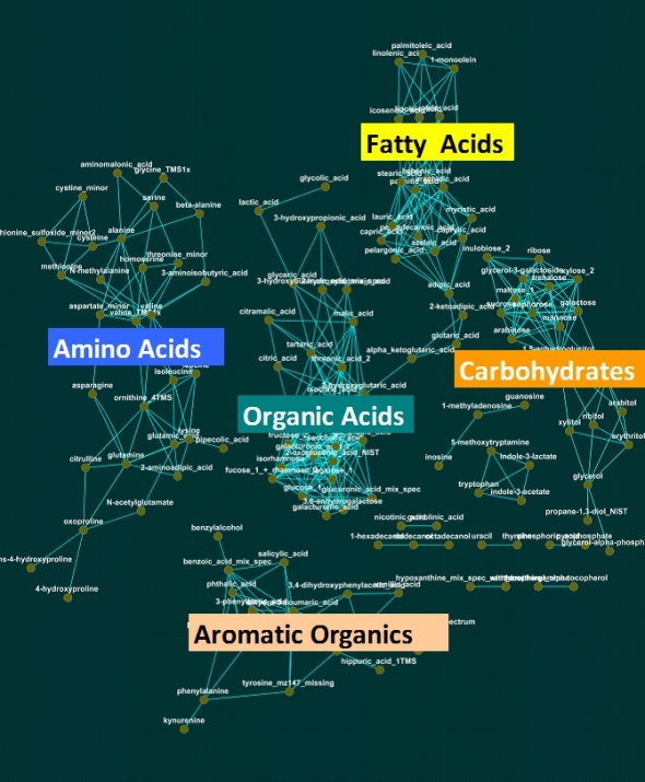 Chemical Similarity Network